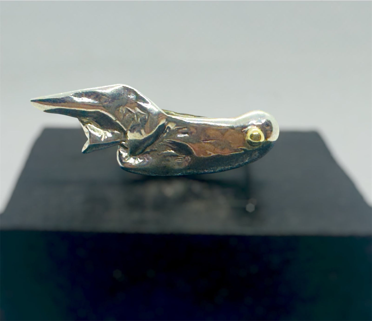 Anillo arte
